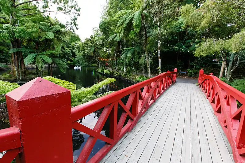 Red footbridge crossing the lake among trees and ferns at Pukekura Park