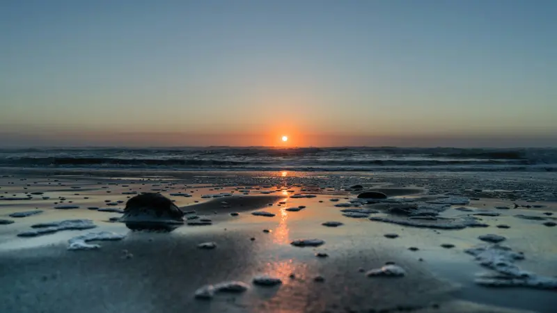 Low sun over the ocean and a rocky shoreline